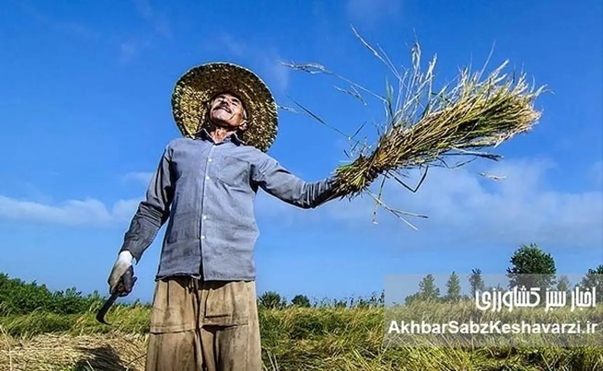 بداد کشاورزی برسید، هرچند دیر شده است…