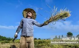 بداد کشاورزی برسید، هرچند دیر شده است…