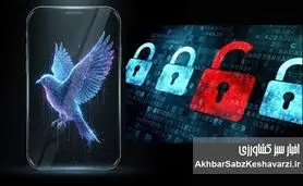 طرح صیانت ۳ دوباره برگشت؟ نگرانی مردم از مجوز اجباری صداوسیما برای فعالیت در فضای مجازی