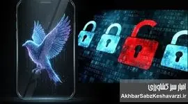 طرح صیانت ۳ دوباره برگشت؟ نگرانی مردم از مجوز اجباری صداوسیما برای فعالیت در فضای مجازی