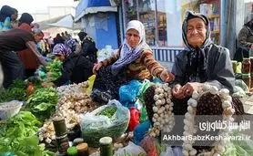 نقش اقتصادی بازارهای محلی: موتور محرکه توسعه پایدار و رونق کسب‌وکارهای کوچک