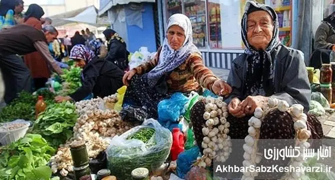 نقش اقتصادی بازارهای محلی: موتور محرکه توسعه پایدار و رونق کسب‌وکارهای کوچک