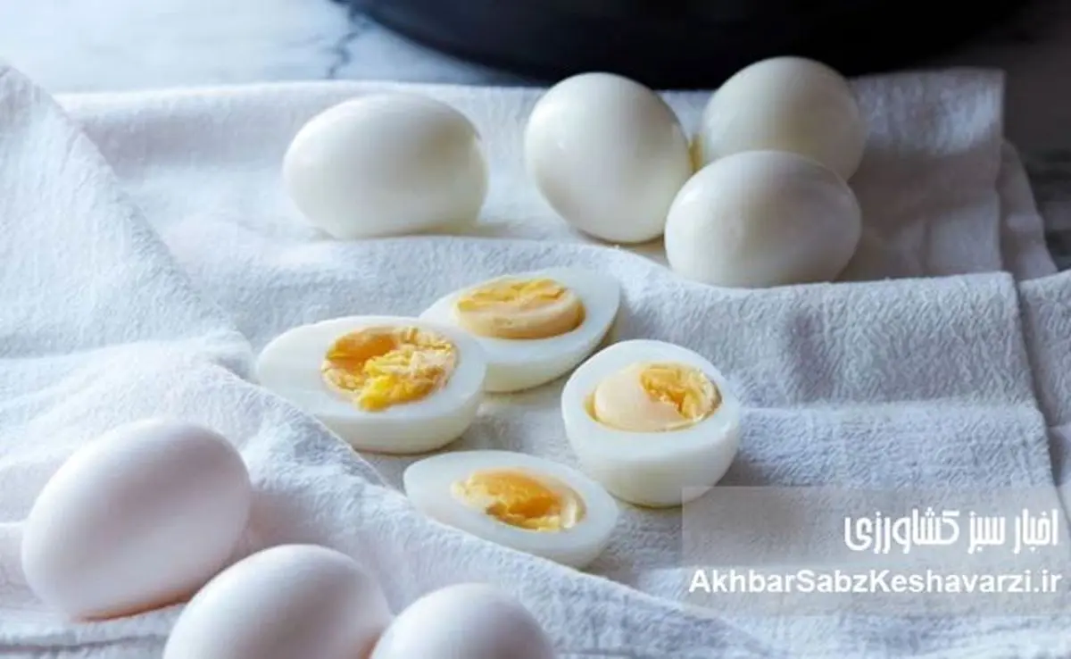 راز سلامتی در یک تخم مرغ آب‌پز؛ چرا باید در رژیم غذایی‌تان باشد؟