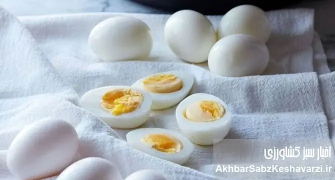 راز سلامتی در یک تخم مرغ آب‌پز؛ چرا باید در رژیم غذایی‌تان باشد؟