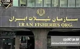 اهمیت حیاتی حوزه شیلات و ظرفیت تشکیل نهاد مستقل در ساختار وزارتخانه‌ای