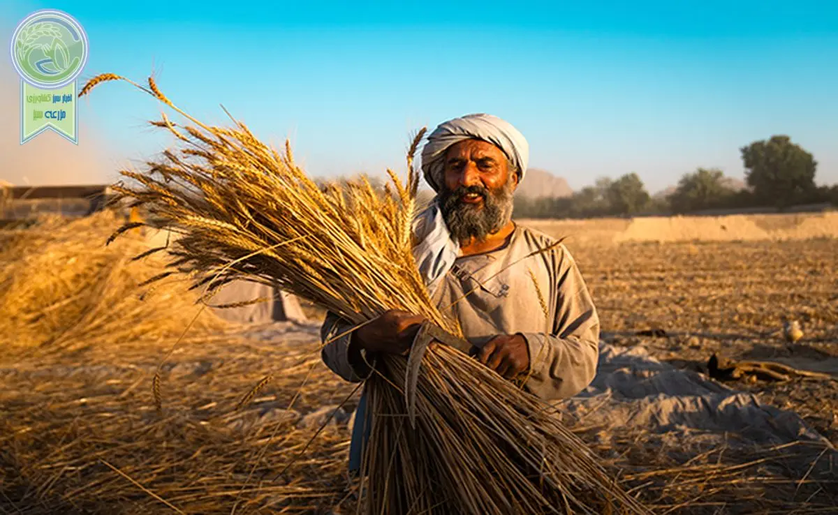 ابتکار عمل ۱۰ میلیون پوندی فائو و بریتانیا