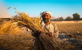 ابتکار عمل ۱۰ میلیون پوندی فائو و بریتانیا