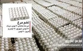 پرواز بی‌پایان قیمت تخم‌مرغ؛ تدبیر وزیر یا نتیجه‌ی رانت و قومیت‌گرایی؟