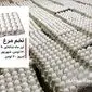 پرواز بیپایان قیمت تخممرغ؛ تدبیر وزیر یا نتیجهی رانت و قومیتگرایی؟