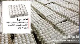 پرواز بی‌پایان قیمت تخم‌مرغ؛ تدبیر وزیر یا نتیجه‌ی رانت و قومیت‌گرایی؟