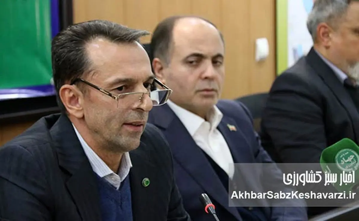 سازمان امور اراضی پیشتاز دولت الکترونیک شد/ جهش ۱۳ پله‌ای در ارزیابی ملی خدمات دیجیتال