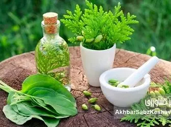 توصیه‌های طب سنتی ایرانی برای کاهش استرس؛ راهکارهای طبیعی و اثربخش
