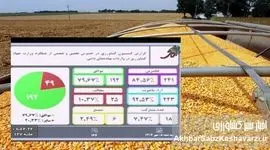 کلید خوردن تحقیق و تفحص مجلس از نهاده‌های دامی وزارت جهاد کشاورزی+ جزئیات