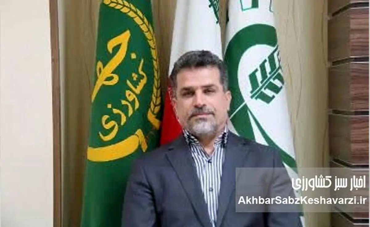 حفظ ۵ میلیون هکتار اراضی درجه‌ یک و دو کشاورزی؛ مأموریتی که امنیت غذایی ایران را بیمه می‌کند