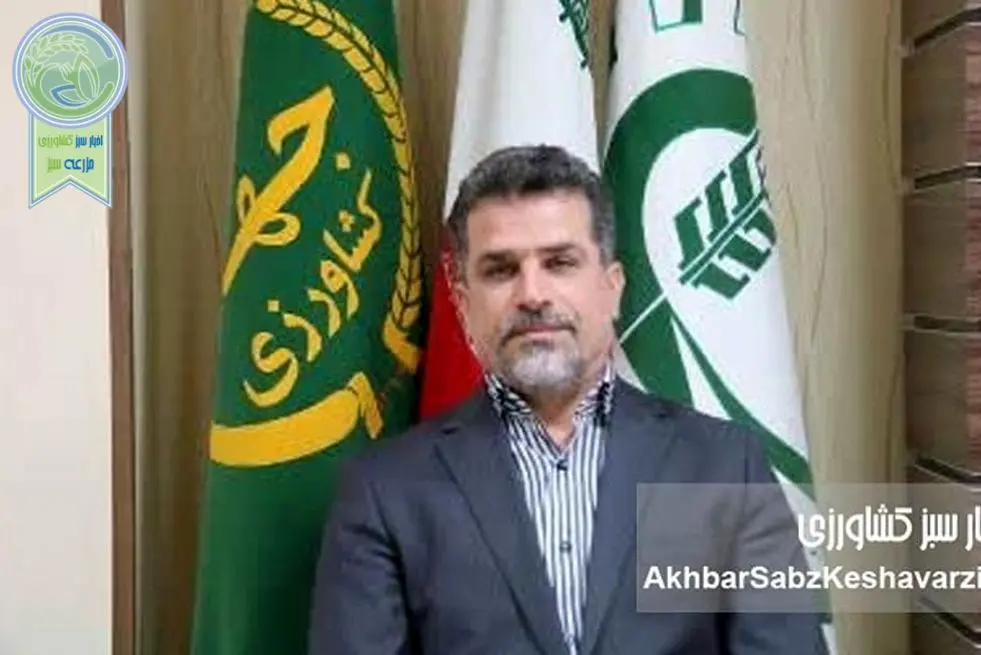 حفظ ۵ میلیون هکتار اراضی درجه‌ یک و دو کشاورزی؛ مأموریتی که امنیت غذایی ایران را بیمه می‌کند