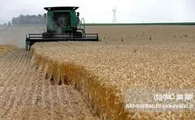 نان مردم ایران در انبار غریبه‌ها؛ پشت‌پرده واردات یک میلیارد دلاری گندم