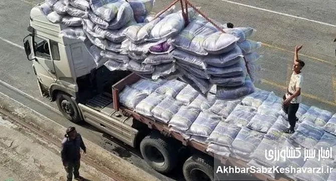 هیچ بهانه‌ای برای رفع موانع واردات برنج پذیرفته نیست