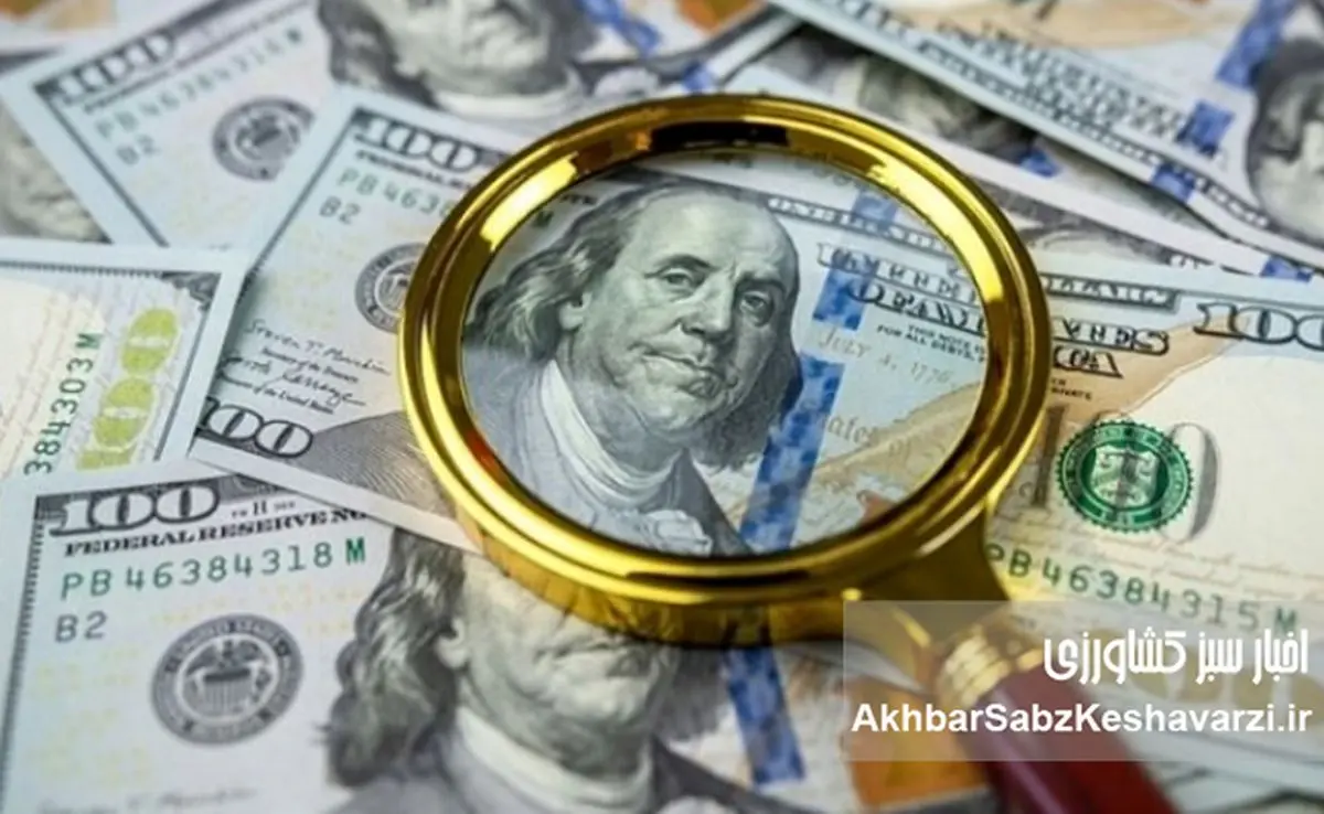   بازار ارز و شکست مدیریت انتظارات؛ چرا دلار به شایعه حساس‌تر است تا واقعیت ؟