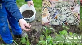 سهمیه ارزی کود: تغییر موضع وزارت جهاد کشاورزی و پیامدهای بی‌تدبیری برای امنیت غذایی