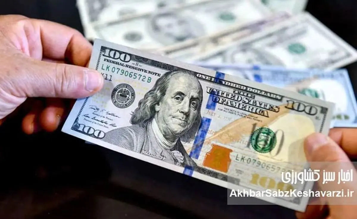 دلار دوباره افسار پاره کرد/ پشت پرده افزایش قیمت دلار فاش شد!