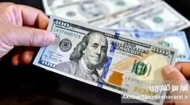 دلار دوباره افسار پاره کرد/ پشت پرده افزایش قیمت دلار فاش شد!