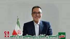 نادرقلی ابراهیمی با بیش از ۳۹ هزار راهی بهارستان شد

