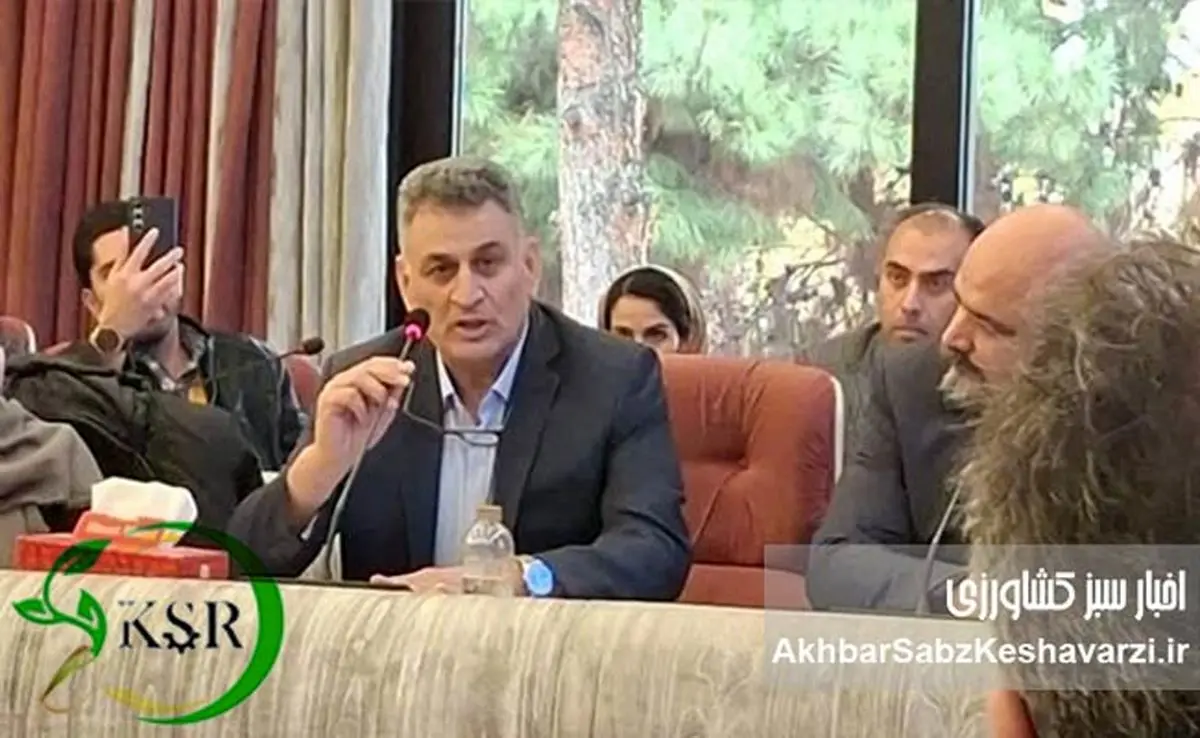 کیمیای سبز رفسنجان وارد هیأت‌مدیره انجمن صنفی کود کشور شد| معادلات بازار کود تغییر می‌کند؟