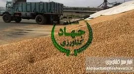 زنگ خطر برای امنیت غذایی: کاهش شدید واردات نهاده‌های دامی