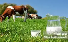 قیمت تمام شده شیر به ۴۰ هزار تومان رسید