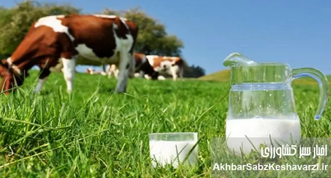 قیمت تمام شده شیر به ۴۰ هزار تومان رسید