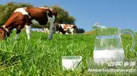 قیمت تمام شده شیر به ۴۰ هزار تومان رسید