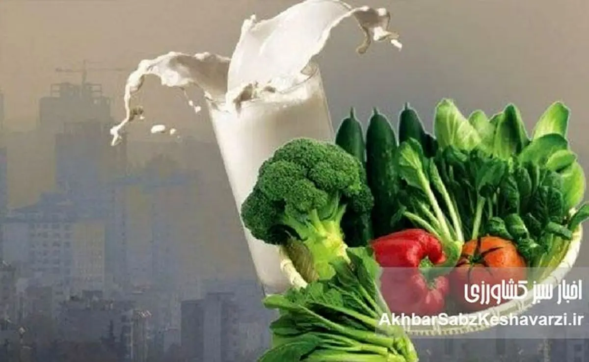 آلودگی هوا امانتان را بریده؟ با این خوراکیها خودتان را نجات دهید!