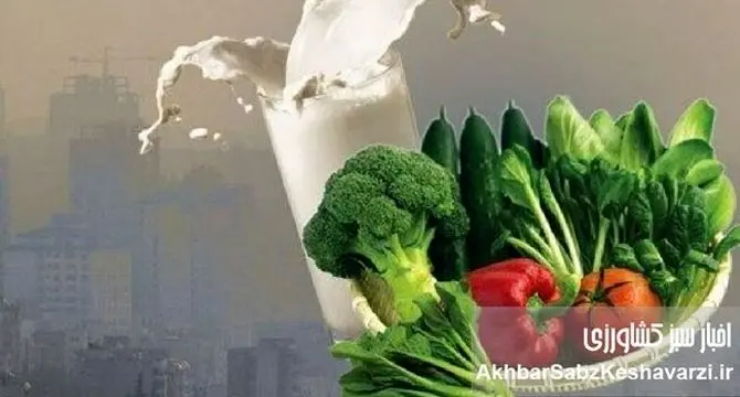 آلودگی هوا امانتان را بریده؟ با این خوراکی‌ها خودتان را نجات دهید!
