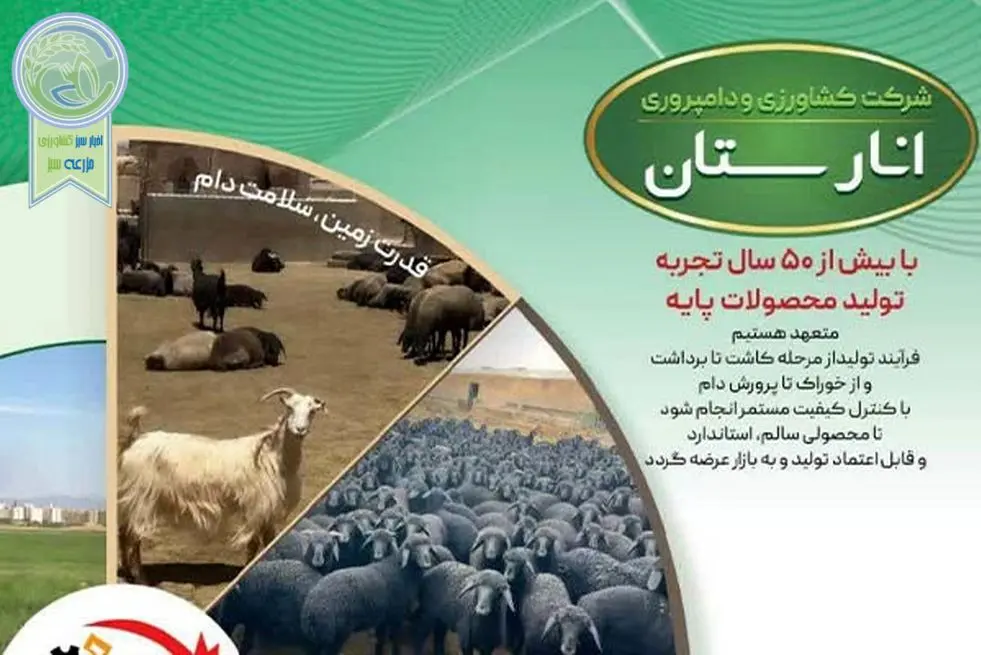 راز پایداری تولید در انارستان؛ جهش کشاورزی و دامپروری ایران