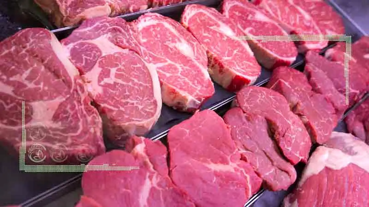 تولید قراردادی راه تنظیم بازار گوشت قرمز


