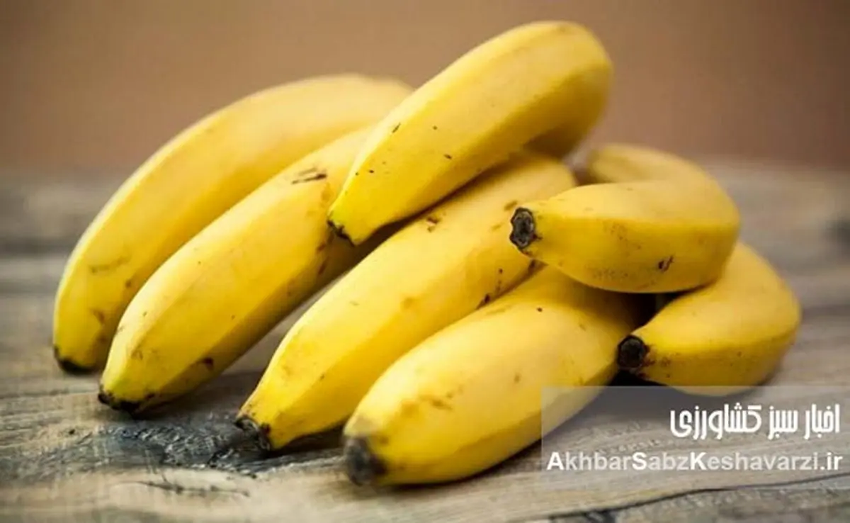 خواص موز در مراحل مختلف رسیدن؛ ۷ رنگ، ۷ فایده پنهان! اشتباه همیشگی را کنار بگذارید.