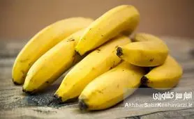 خواص موز در مراحل مختلف رسیدن؛ ۷ رنگ، ۷ فایده پنهان! اشتباه همیشگی را کنار بگذارید.