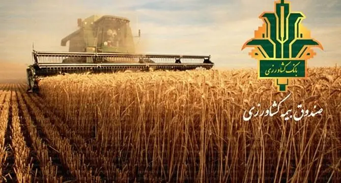 صندوق بیمه محصولات کشاورزی: ۱۲ همت اعتبار برای حمایت از کشاورزان در راه است
