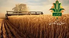 صندوق بیمه محصولات کشاورزی: ۱۲ همت اعتبار برای حمایت از کشاورزان در راه است