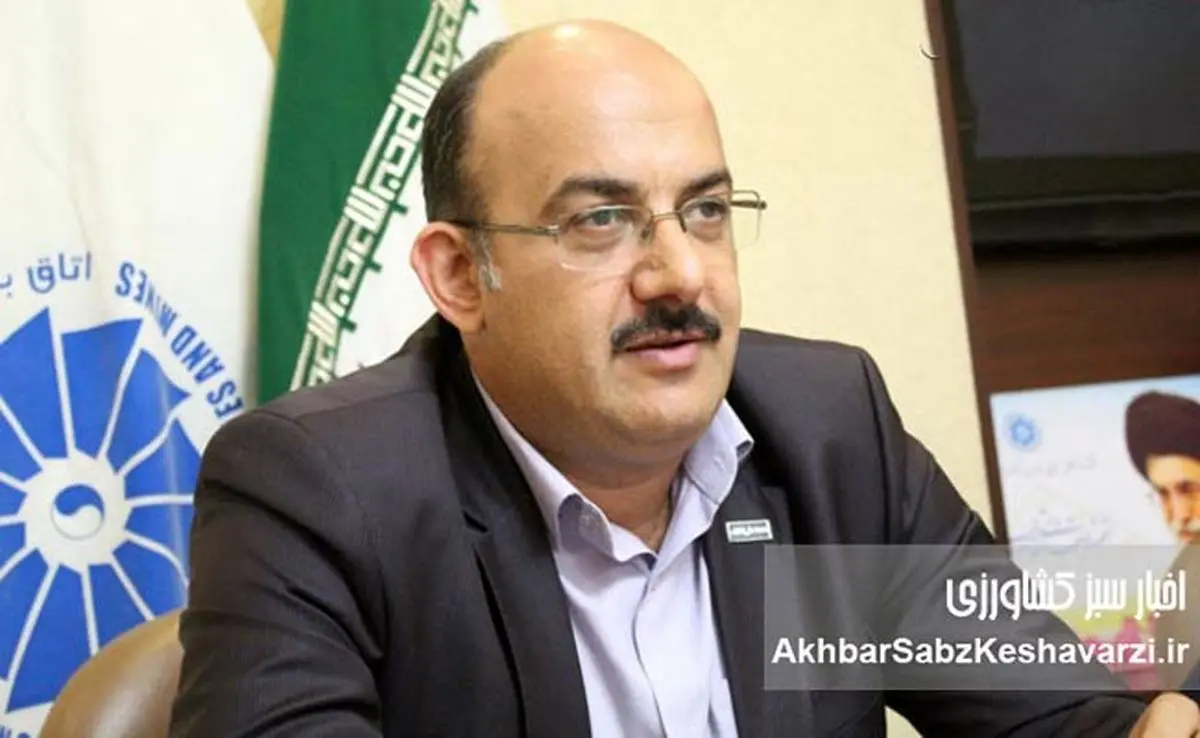 صنعت طیور ایران در بحران؛ سیاست‌های دولت مرهم است یا نمک بر زخم؟