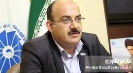صنعت طیور ایران در بحران؛ سیاست‌های دولت مرهم است یا نمک بر زخم؟