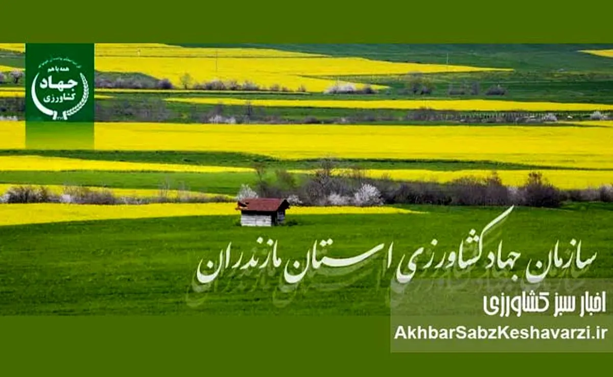 رئیس جدید سازمان جهاد کشاورزی مازندران معرفی شد
