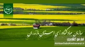 رئیس جدید سازمان جهاد کشاورزی مازندران معرفی شد