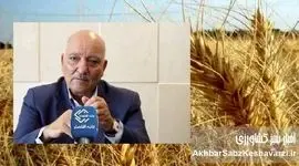 اعتراض به وضعیت کشاورزی: غیبت معنادار رئیس بنیاد ملی گندمکاران در مراسم پرهزینه آغاز سال زراعی