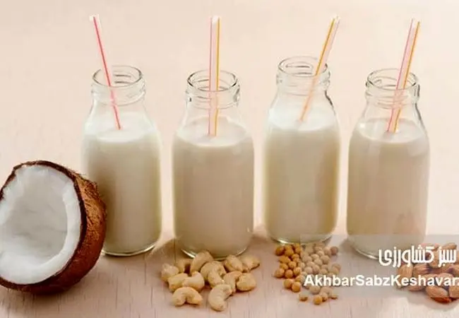 کدام شیر برای شما بهتر است؟ تفاوت پرچرب تا بدون لاکتوز
