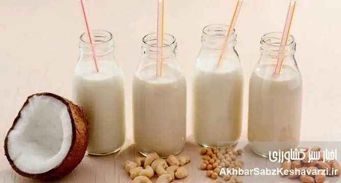 کدام شیر برای شما بهتر است؟ تفاوت پرچرب تا بدون لاکتوز
