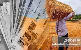 قیمت خرید تضمینی گندم؛ معادله‌ای ناعادلانه در برابر هزینه‌های سر به فلک کشیده تولید