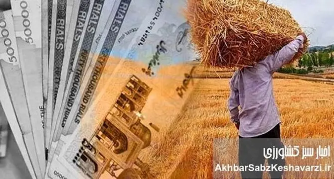 قیمت خرید تضمینی گندم؛ معادله‌ای ناعادلانه در برابر هزینه‌های سر به فلک کشیده تولید