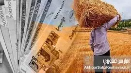 قیمت خرید تضمینی گندم؛ معادله‌ای ناعادلانه در برابر هزینه‌های سر به فلک کشیده تولید