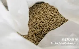 هشدار رسمی درباره حذف آزمایش نهاده‌های دامی و تهدید سلامت مردم+ نامه